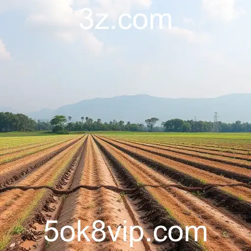 Inovações e Desafios no Cenário Atual